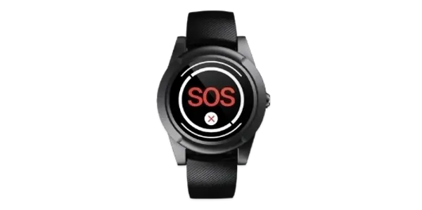 Stable GO Watch – Alert System with Falls Detection